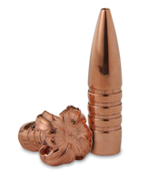 Picture of BARNES TRIPLE SHOCK X-BULLET  6mm - 85 Grain -(50)