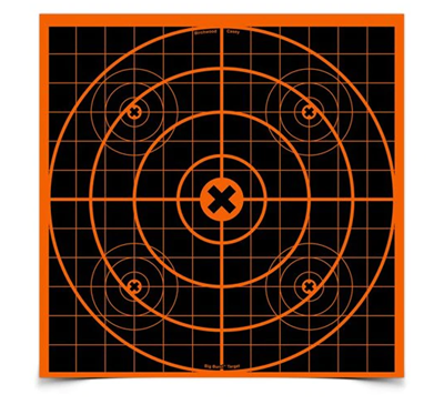 Picture of BIRCHWOOD CASEY BIG BURST™12 INCH SIGHT-IN TARGET (3)