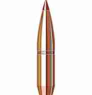 Picture of Hornady 6.5mm .264 140 gr SST® (100)